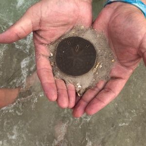 Meet your Posher, Hope